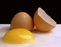 диафрагма из выеденного яйца